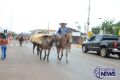 Galeria 5 de fotos  finalização da  cavalgada com premiações e solenidades
