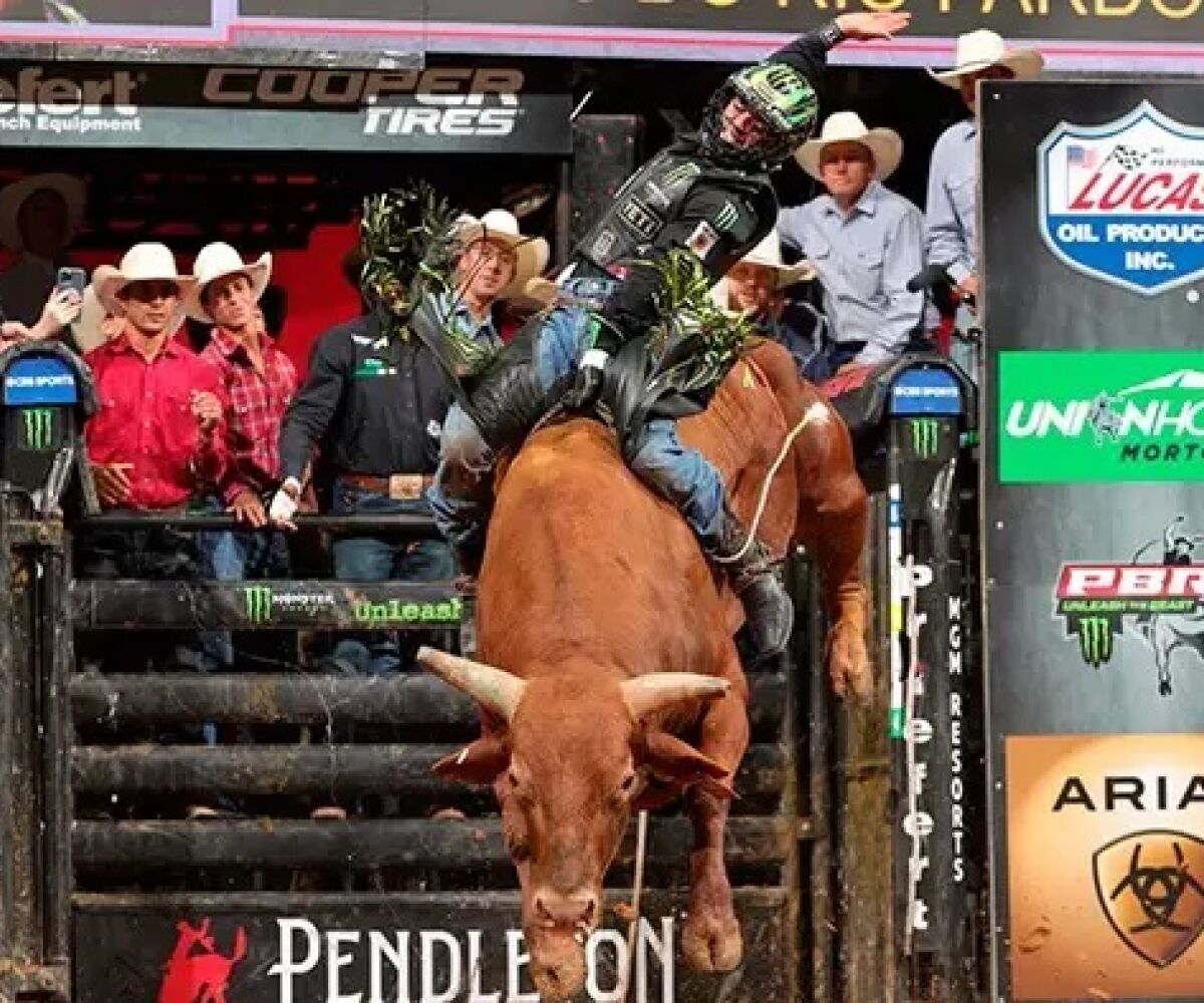 Peão de MS bate recorde com maior nota da história de mundial de rodeio -  Esportes - Campo Grande News