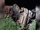 Motorista tomba caminhão de bois e morre preso às ferragens na BR-267