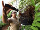 Fátima do Sul e Vicentina tem óbitos confirmados por Chikungunya, veja o boletim das cidades de MS