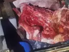 Suspeitos de furto de gado morrem em confronto com a polícia