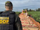 DOF amplia apreensões e desarticulam movimentação de R$ 320 milhões do crime no 1&ordm; semestre de 