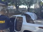 Motorista que tentou fugir da PRF em Dourados transportava 1,4t de maconha