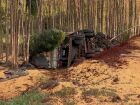 Motorista morre preso às ferragens após carreta com milho tombar em rodovia de MS