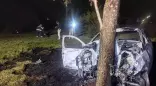 Carro queimado após bater em árvore. (Foto: Leandro Holsbach)