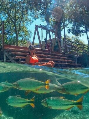 Bonito, MS: O Fenômeno Duradouro do Ecoturismo Mundial e a Arte de Preservar para Existir