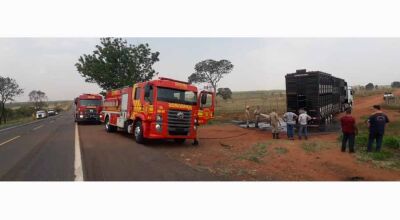 Uma carreta carregada com boi pegou fogo