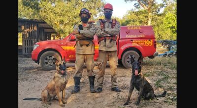 Condutor e cão, sargento Thiago Kalunga e a cadela Laika, da raça pastor holandês, e o cabo Medeiros, condutor da Mali, pastor belga malinois (Divulgação/ Corpo de Bombeiros)
