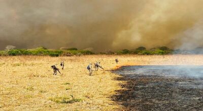 FOGO NO PANTANAL