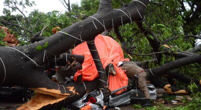 Árvore cai encima de motociclista, que está em estado grave na Santa Casa - Foto: Álvaro Rezende