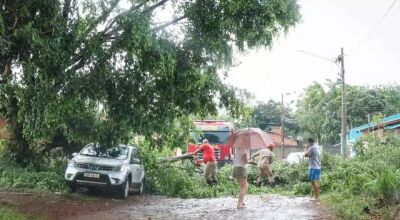 Queda de árvore fechou rua e causou danos ao carro que estava sob ela durante a chuva desta tarde (Foto: Henrique Kawaminami)