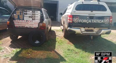 FOTO: FORÇA TÁTICA DE FÁTIMA DO SUL