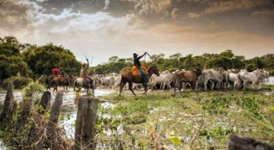 Leitores reuniram dicas para deixar novela mais sul-mato-grossense, como uma legítima comitiva (Foto: Alexis Prappas/@visitmsoficial)