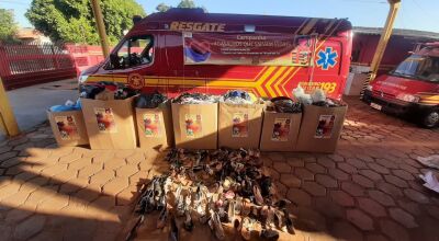 FOTO: BOMBEIROS DE FÁTIMA DO SUL