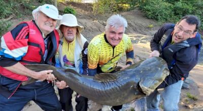 Grupo de turista captura peixe de 1,70 m e mais de 60 kg no rio Miranda Foto: Reprodução/ Dieinis Andochia Rocha