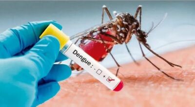 Teste de dengue  Foto: Divulgação