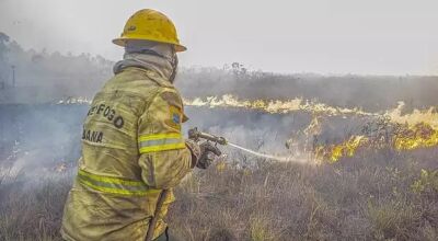 União, Estado e voluntários mantêm equipes no Pantanal para combater incêndios (Foto: Mayangdi Inzaulgarat/Ibama)