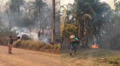 Moradores lutam contra o fogo em Terenos (MS)  Foto: Vinícius Souza/TV Morena