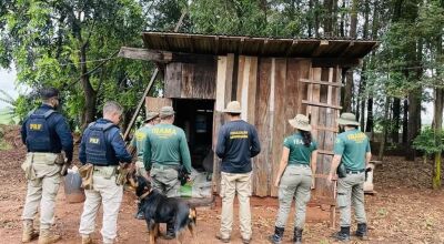 Agentes do Ibama e da PRF durante fiscalização (Foto: Divulgação)