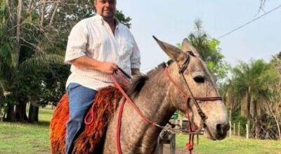 IMAGEM: Infoco MS - Na mesma cidade, 2° fazendeiro morre por picadas de abelha em MS