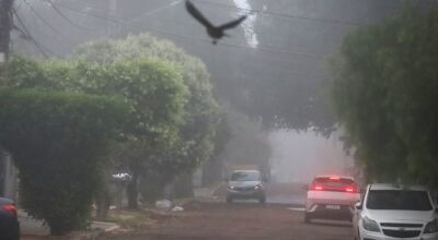 FRIO - Foto: Álvaro Rezende
