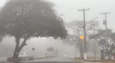MS deve ter baixas temperaturas no inverno Foto: Martim Andrada - g1 MS