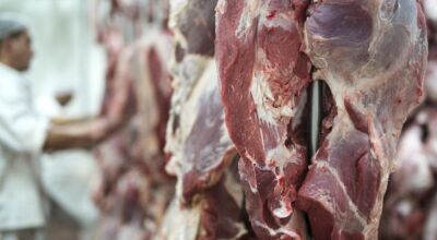 CARNE - Foto de capa: Arquivo