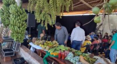 FOTOS; ELIAS FERREIRA / LUPA NEWS
