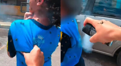 crianca e atacada por abelhas e motociclista leva mais de 40 picadas ao tentar salva la 17896461535474 thumb