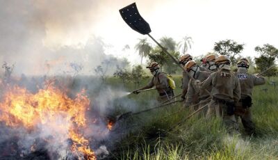 Para reforçar combate a incêndios florestais, 151 novos bombeiros passam por capacitação