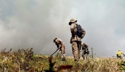 Governo institui Plano Estadual de Manejo Integrado do Fogo para prevenir e combater incêndios 