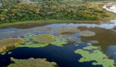 Com novas medidas, governo avança para implantar o Parque Estadual do Pantanal do Rio Negro