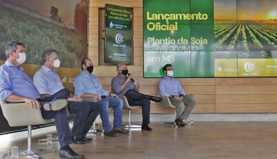MS espera colher 12,773 milhões de toneladas de soja; Reinaldo Azambuja destaca importância logístic