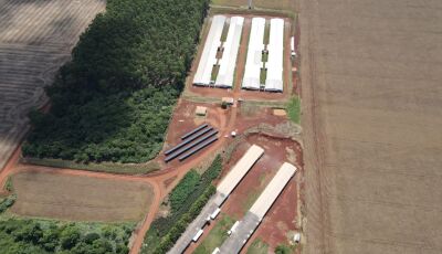 Energia Solar traz inovação e competitividade para o agronegócio em Dourados/MS e região