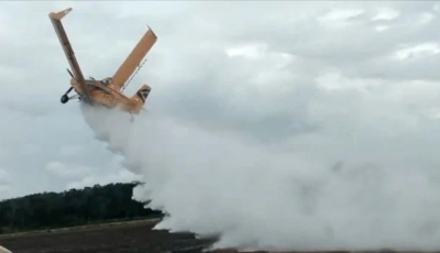 Avião cai em fazenda após asas quebrarem e piloto sobrevive 