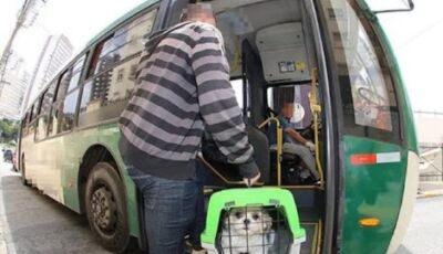 Quer levar seu animal de estimação em viagens de ônibus? Agems orienta sobre as regras