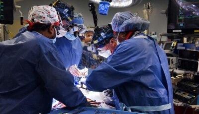 Homem recebe coração de porco em transplante inédito