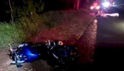 Homem morre após colidir motocicleta em vaca na MS-141 em Ivinhema