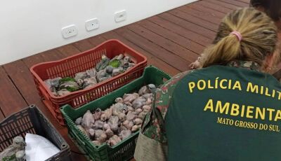 PMA autua 06 traficantes de animais silvestres em mais de dois milhões de reais