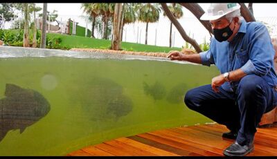Em fase final, Aquário do Pantanal começa a receber peixes; governador vistoria obra