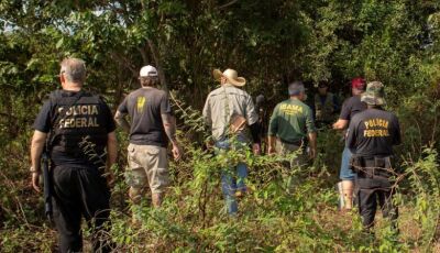 Onças mortas no Pantanal foram envenenadas com agrotóxico proibido no Brasil