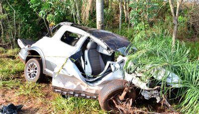 Condutor morre após sofrer acidente na BR-376 com carro carregado de drogas em Vicentina