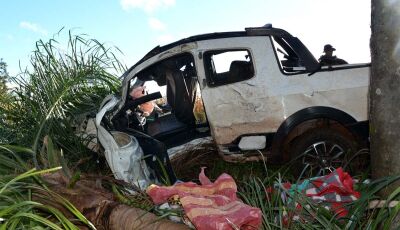 Identificado o motorista que morreu em acidente na BR-376 após perseguição em Vicentina