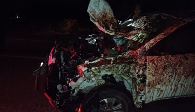 Veículo fica destruído ao bater em cavalo que morreu na hora entre Deodápolis e Glória de Dourados