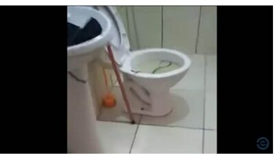 Moradora de MS encontra cobra venenosa em vaso sanitário