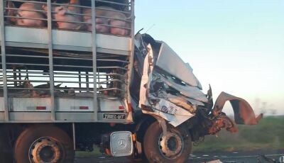 Caminhão fica com cabine 'esmagada' em acidente entre Glória de Dourados e Jateí