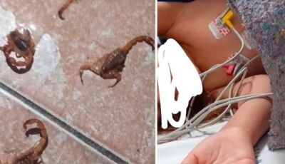 Criança picada por escorpião é transferida para Campo Grande em estado grave