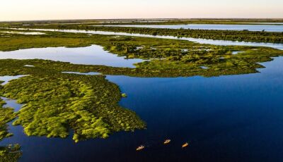 Com ações do Governo do Estado, Pantanal tem 85% da área preservada e redução do desmatamento