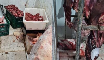 Fiscalização encontra carne podre sendo vendida em mercado de MS