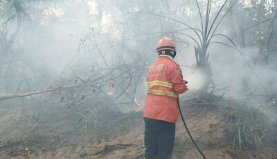Bombeiros combatem três novos focos de incêndio no Pantanal em MS